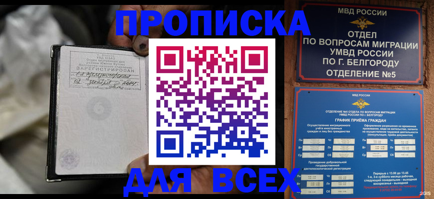 где прописаться в Кулебаки